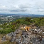 Tatil Evi Casa Serra A Vista Al/140571 Pedreiras (Leiria)