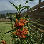 Casa Serra A Vista Al/140571 *