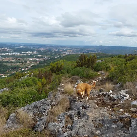 度假居 Casa Serra A Vista Al/140571 Pedreiras (Leiria)