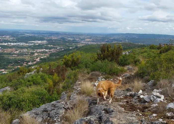 Hébergement de vacances Casa Serra à Vista Al/140571 Pedreiras (Leiria)